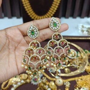 Multi Colour Earrings